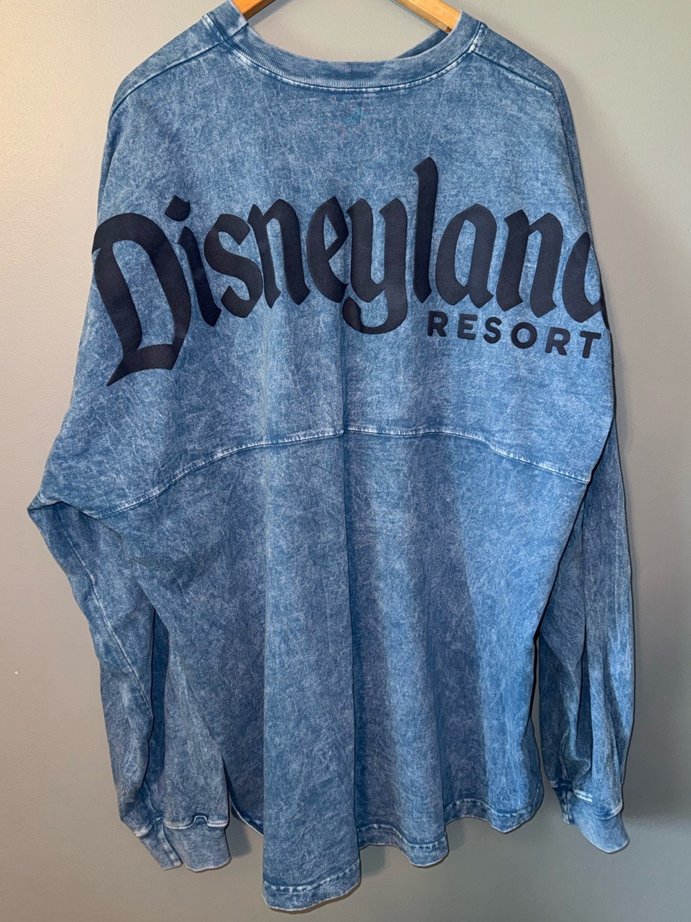 Disney Parks Disneyland Spirit Jersey